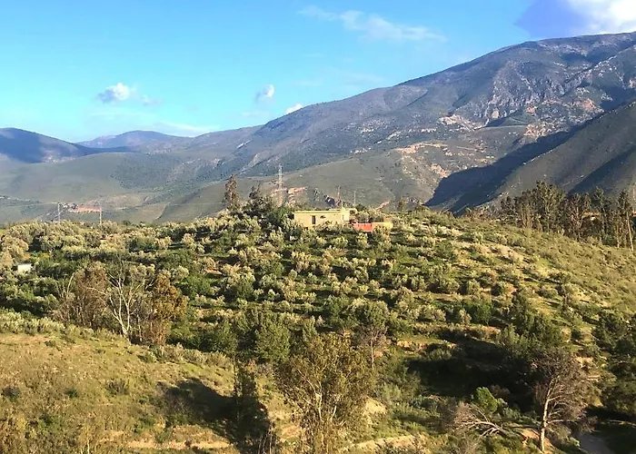 Secano De Paco *