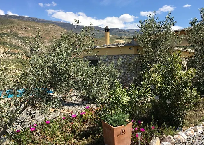Secano De Paco أورخيفا